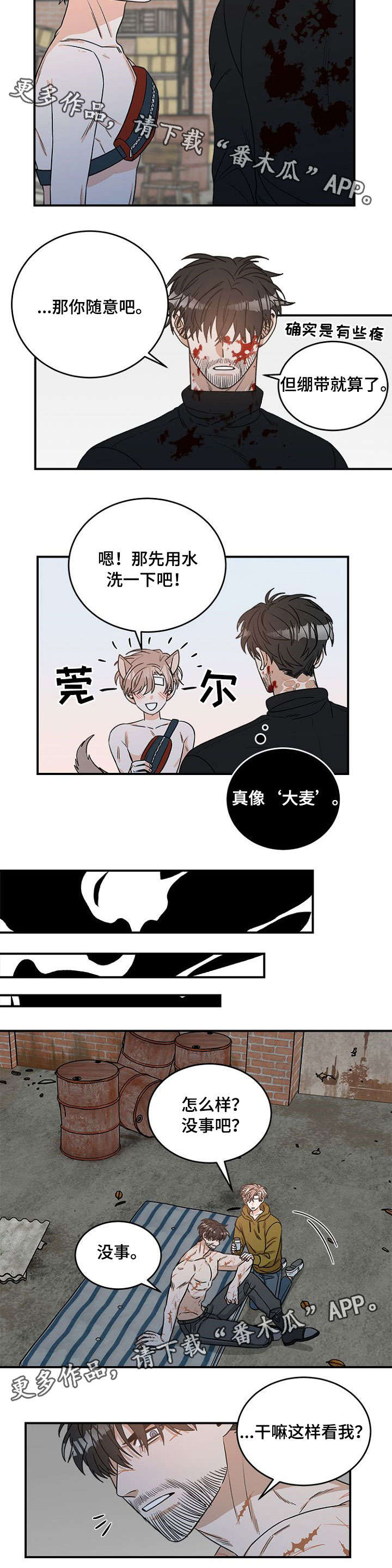 第6章：寻找5