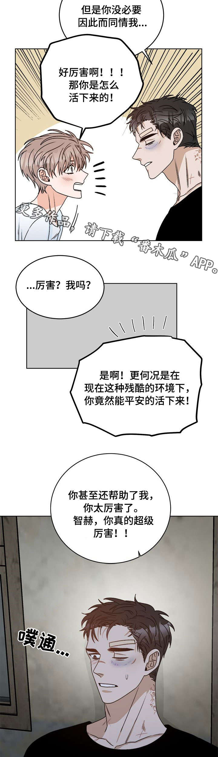 第16章：痛觉12