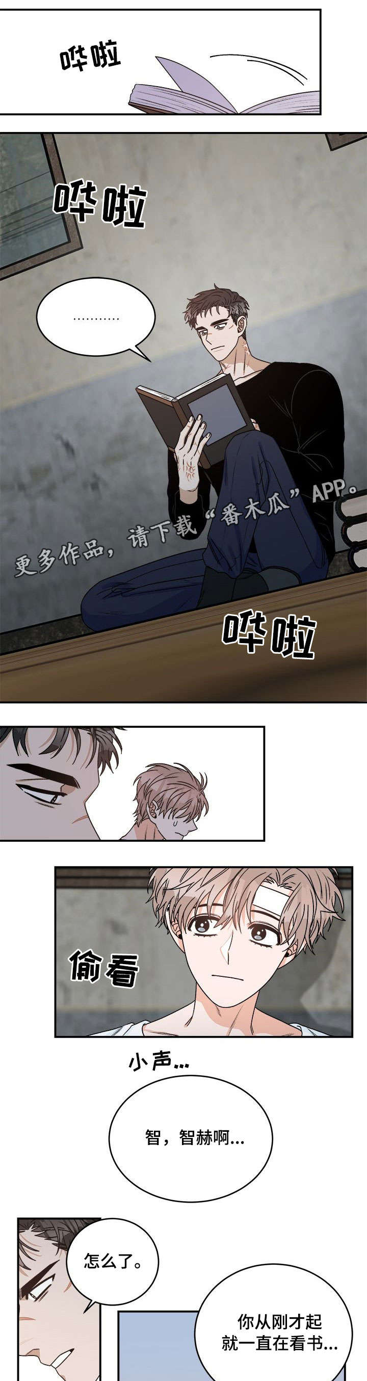 第13章：问题0