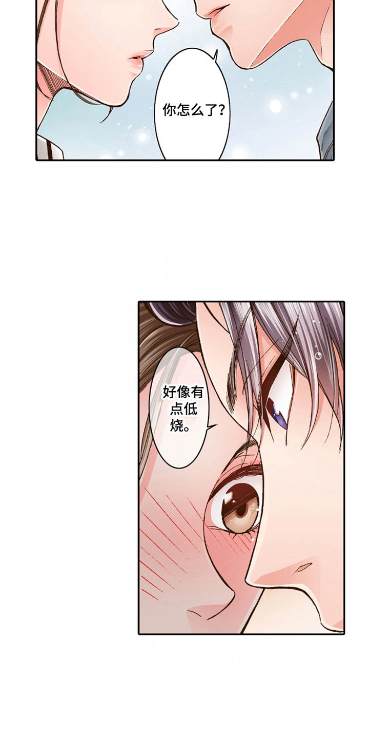 第20章：收留19