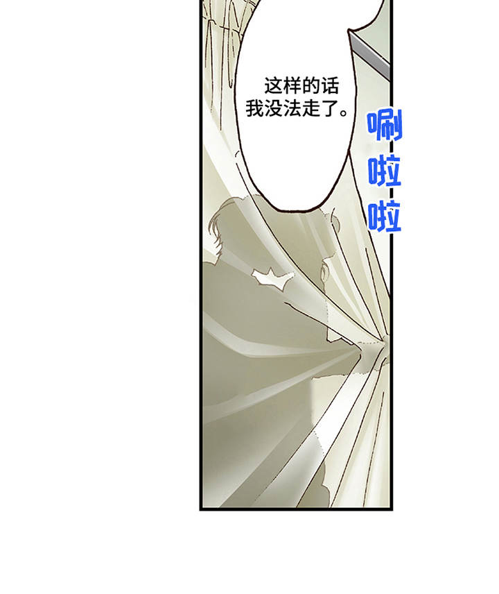 第15章：有活力16