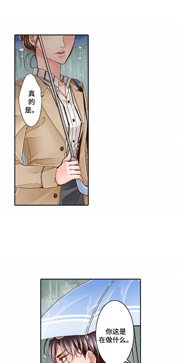 第20章：收留0