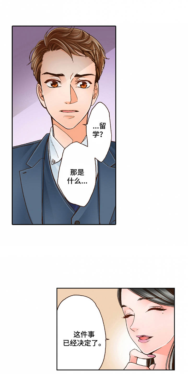 第18章：咨询15