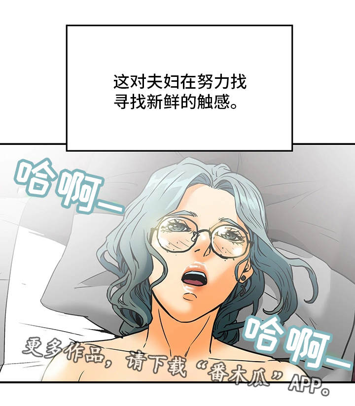 第17章：新鲜感12