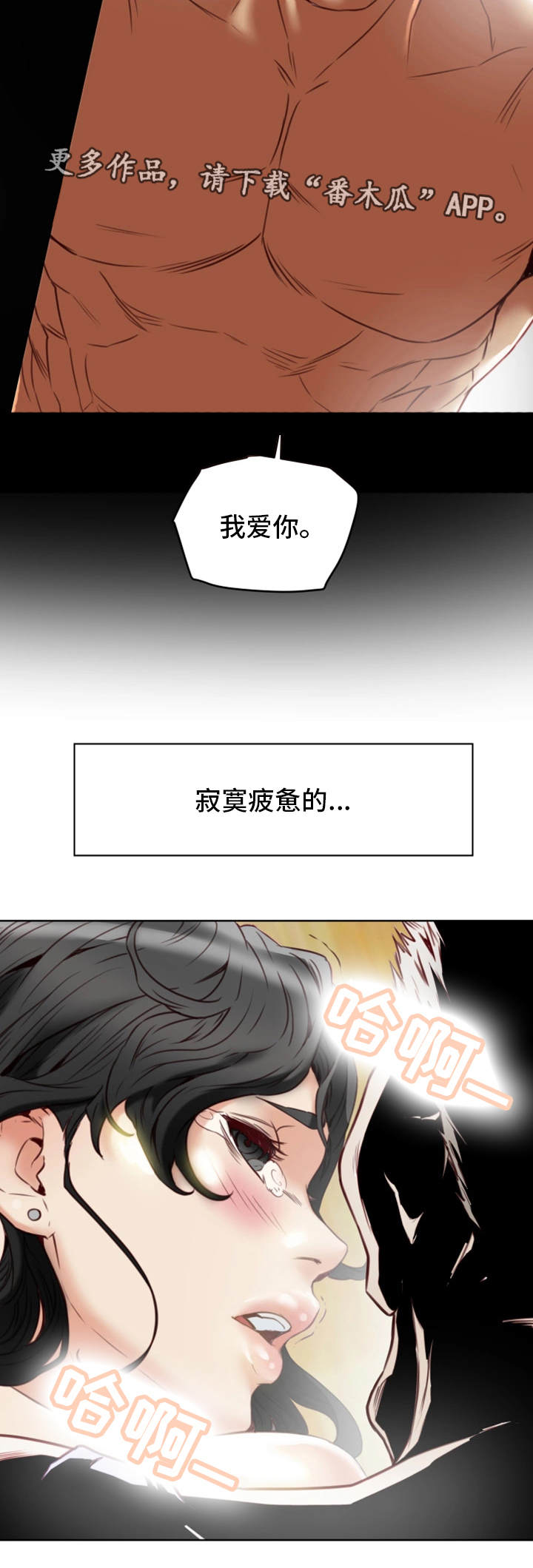 第41章：机会5