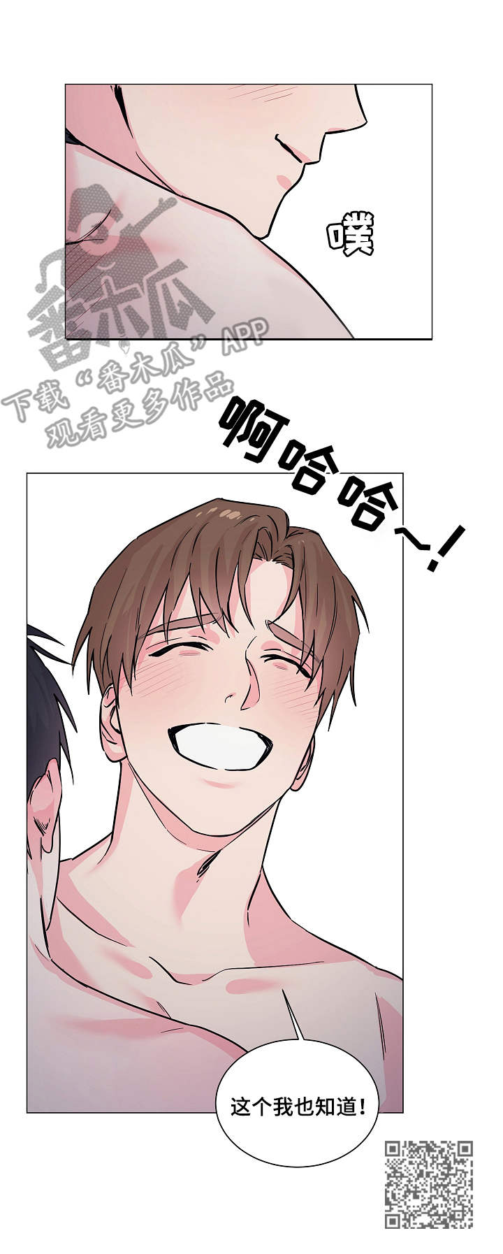 第11章：看着办5