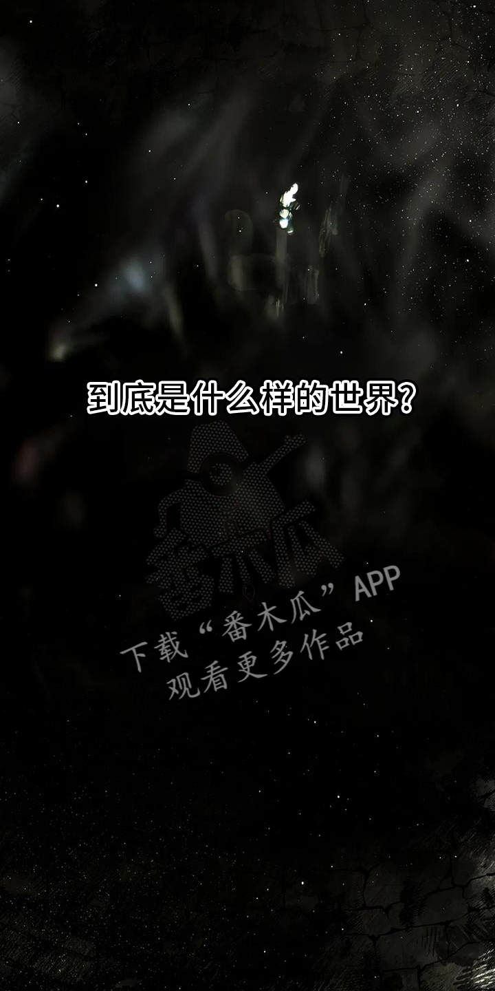 第29章：看不透21