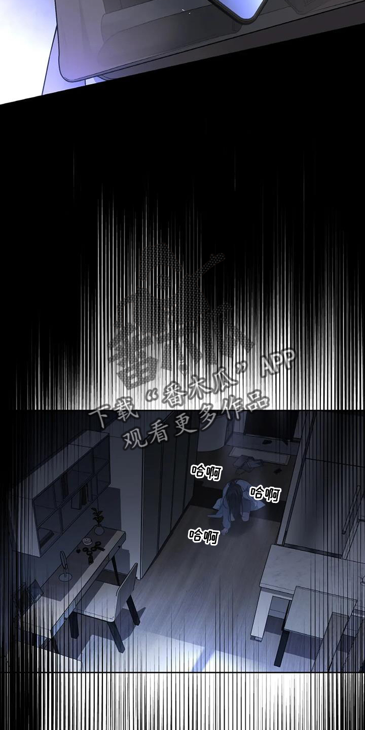 第60章：跟踪15