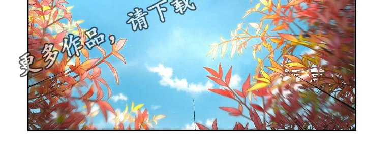 第18章：家庭17