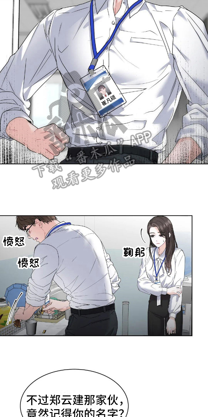 第4章：同事关系6