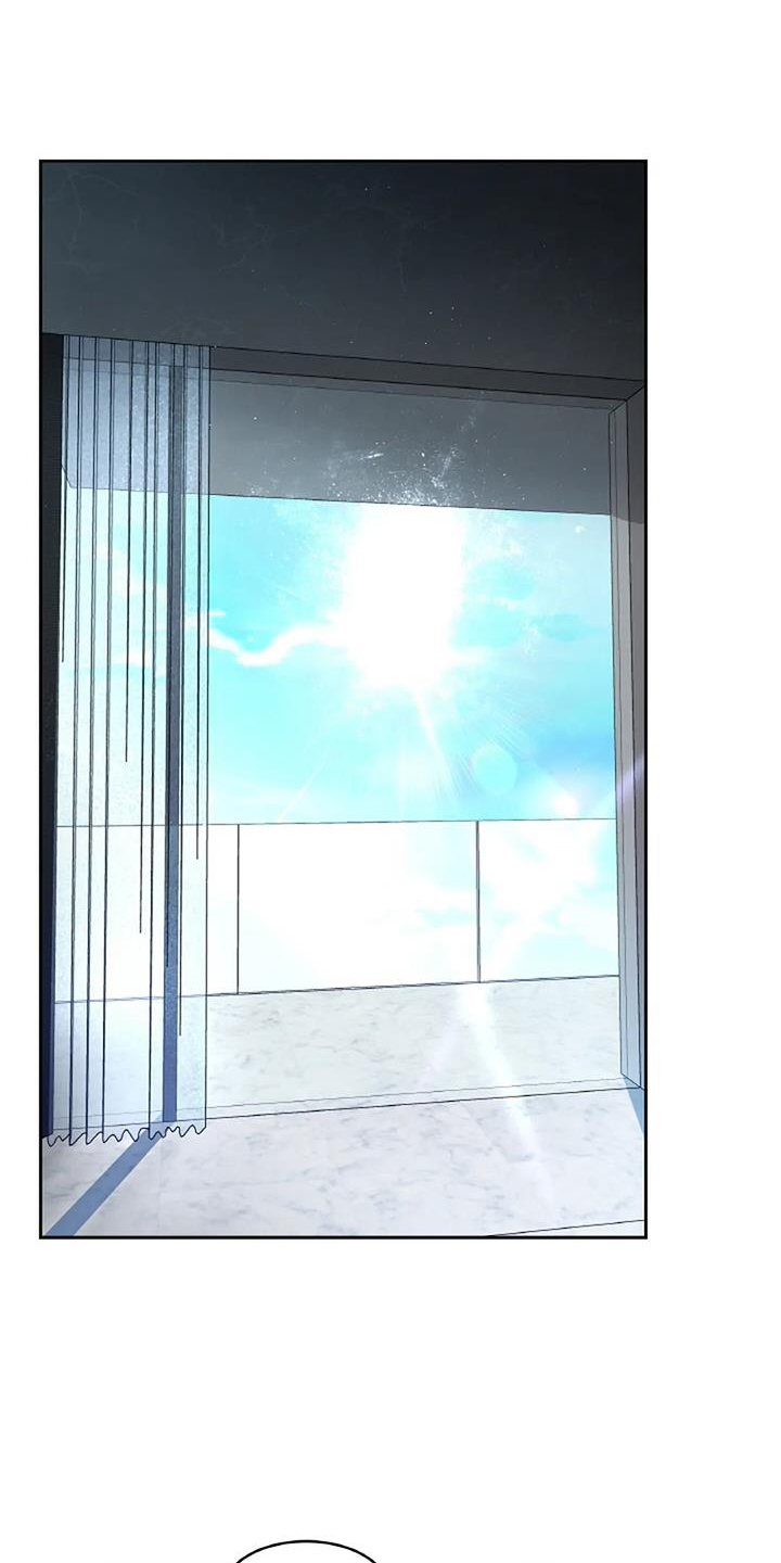 第51章：完美0
