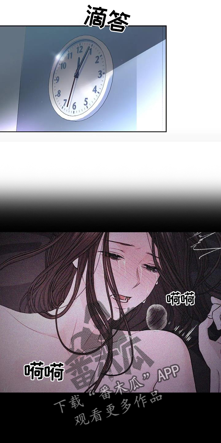 第51章：完美5