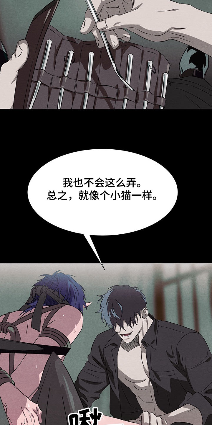 第33章：一个愿望太少19