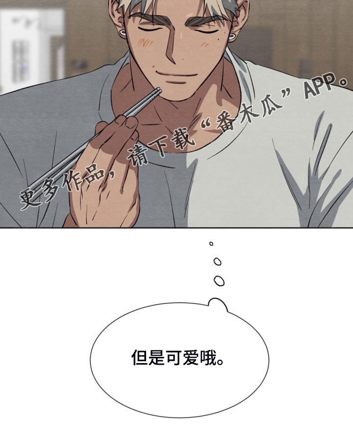 第46章：【第二季】作战计划22