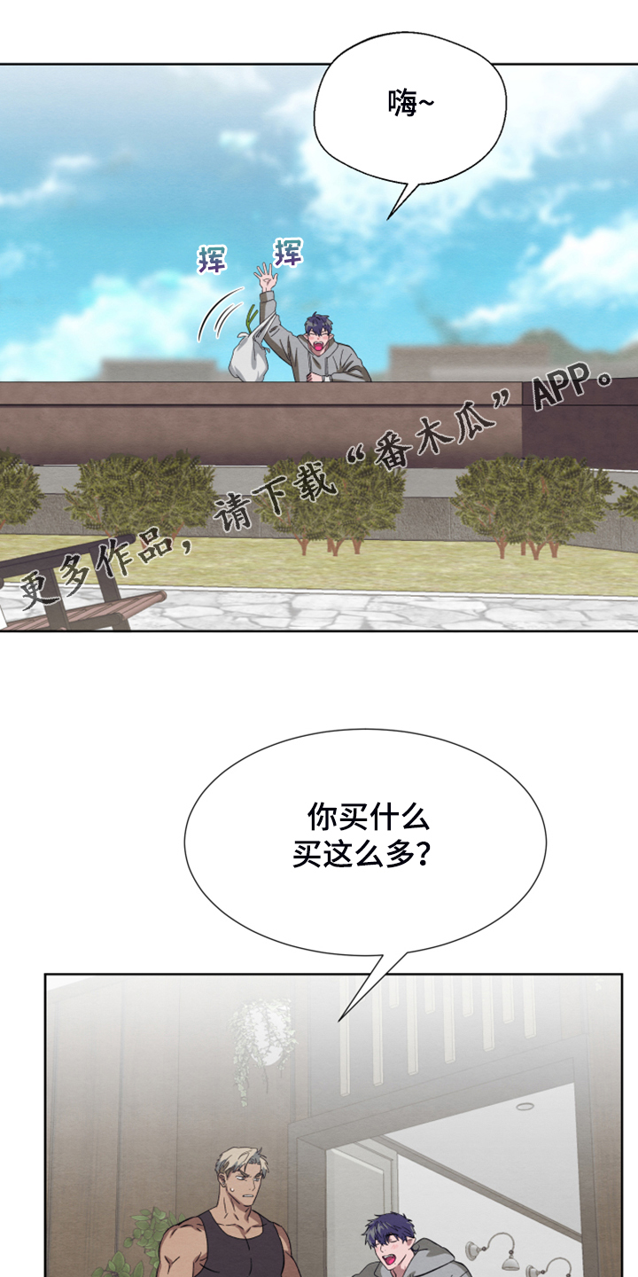 第46章：【第二季】作战计划0