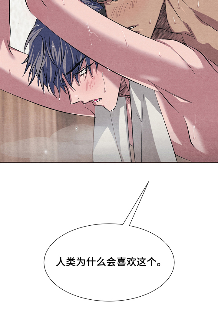 第10章：体验13