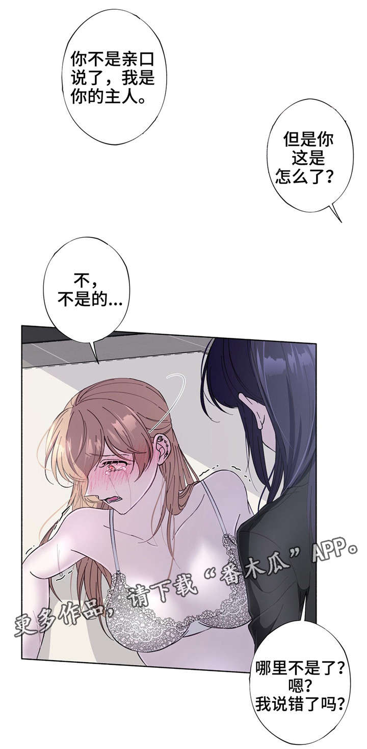 第29章：想停下来4