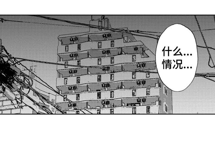 第7章：奇怪动静13