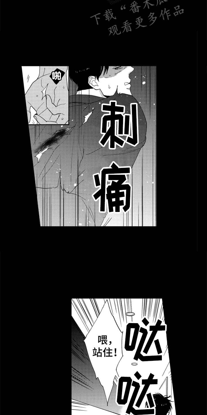 第13章：跟踪者16