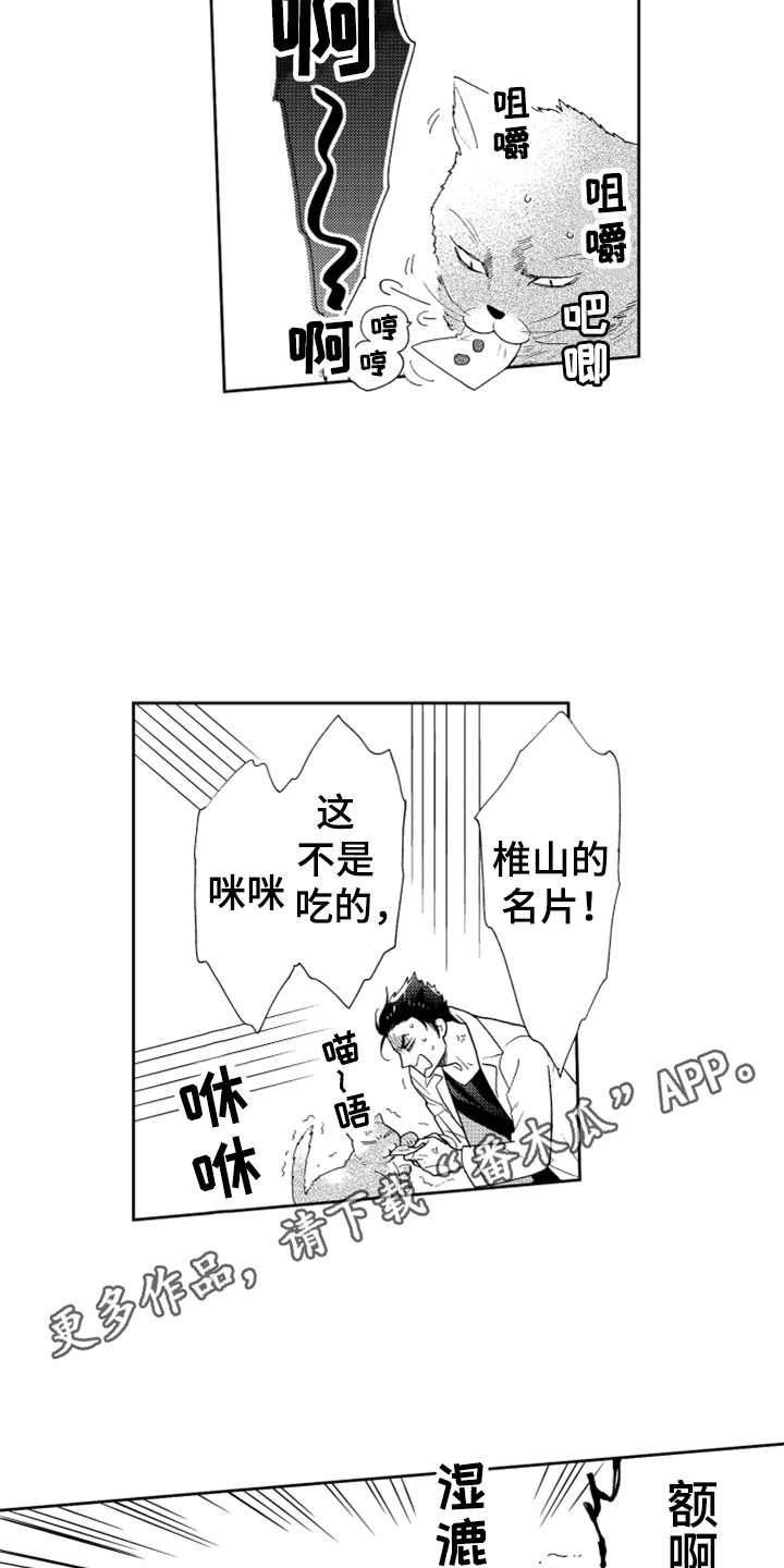第6章：名片没了6