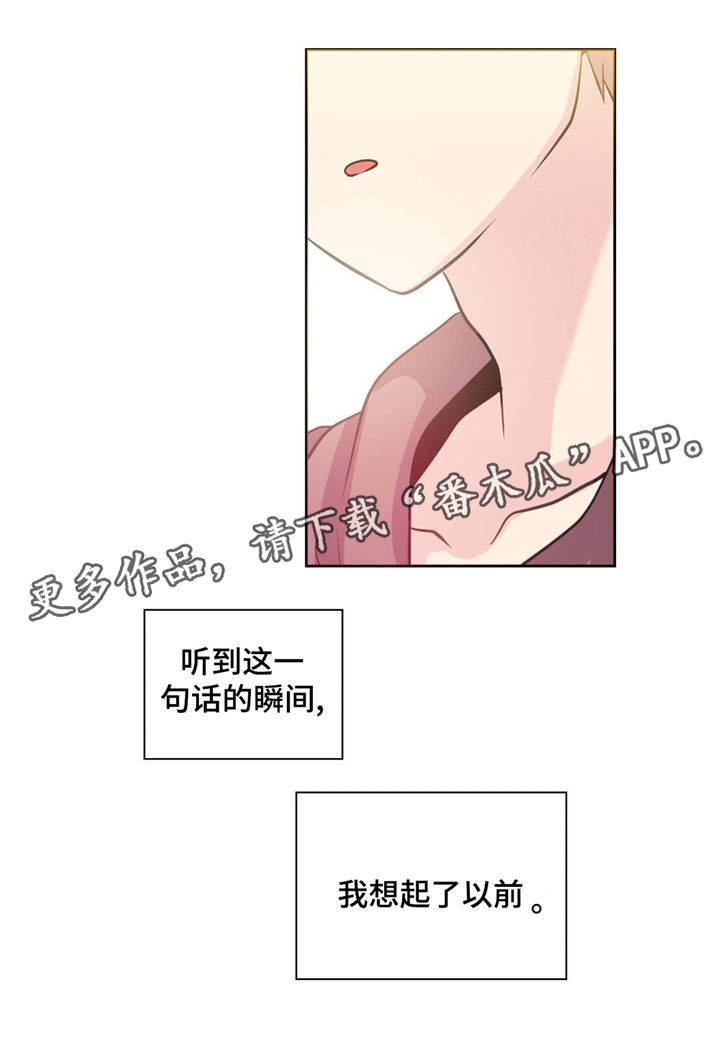 第25章：抓捕经过8