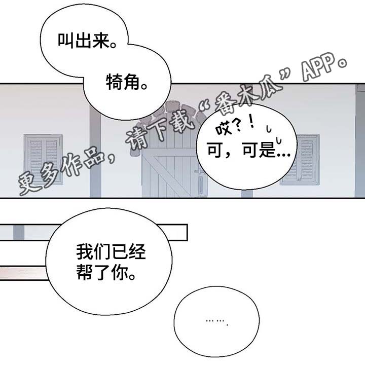 第97章：亲自去查看8