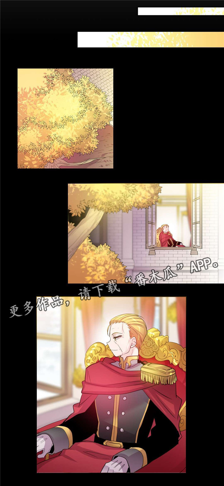 第25章：抓捕经过9
