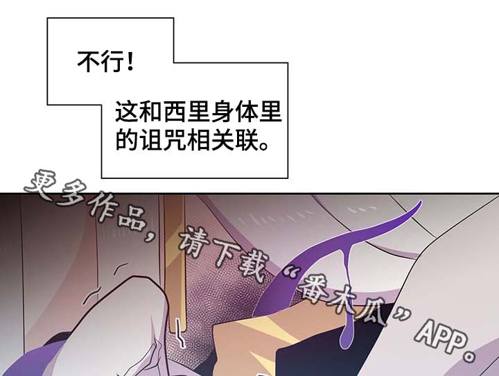 第106章：重设结界24