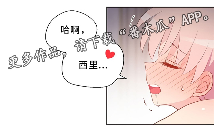 第114章：抱歉5