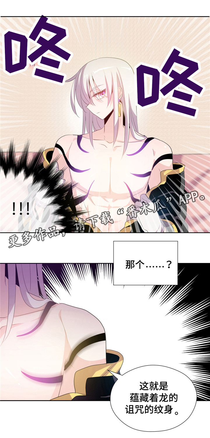第4章：诅咒6