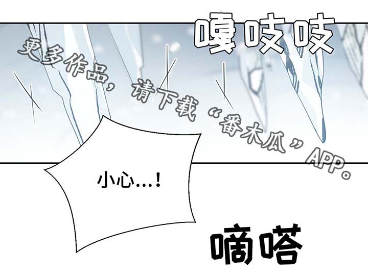 第80章：催眠花粉33