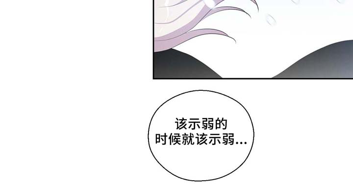 第81章：那条龙9