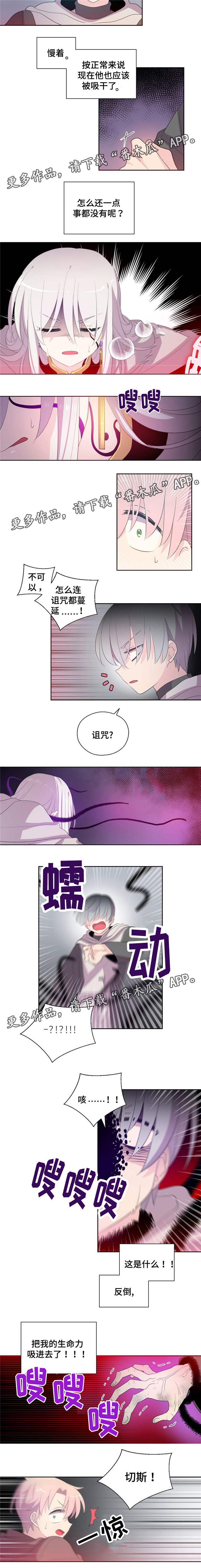 第46章：反噬2