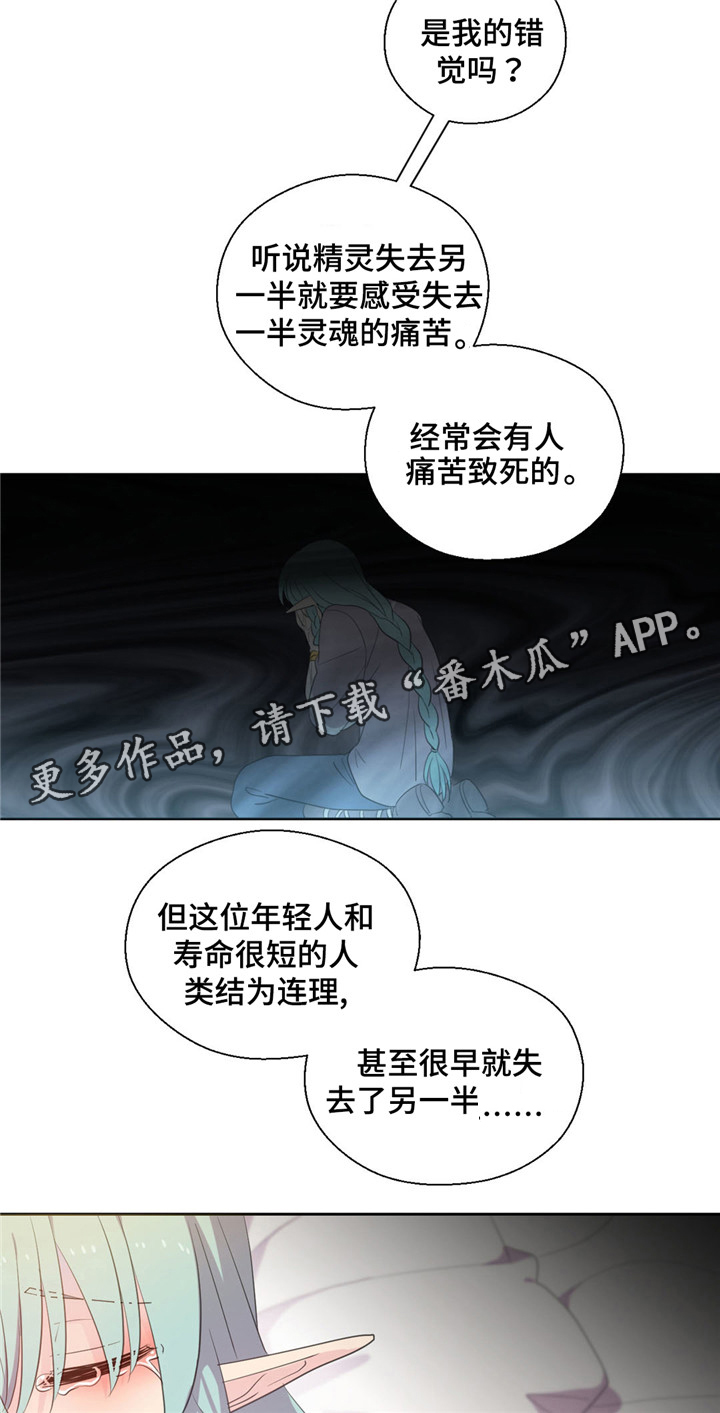 第54章：生病的精灵2
