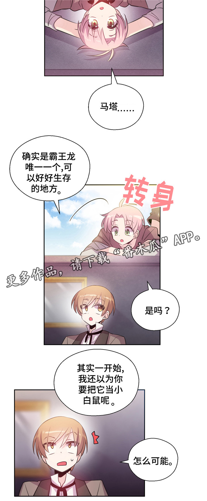 第24章：小哔哔的去向4