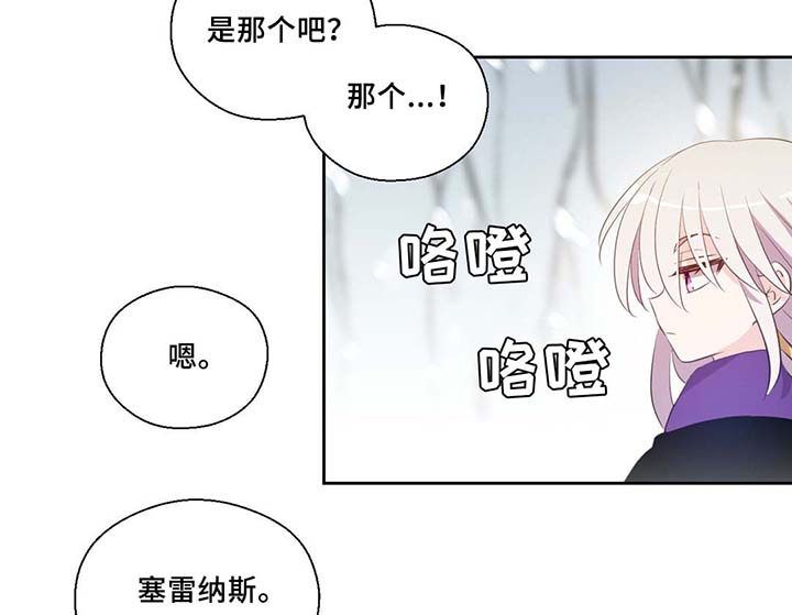 第80章：催眠花粉29