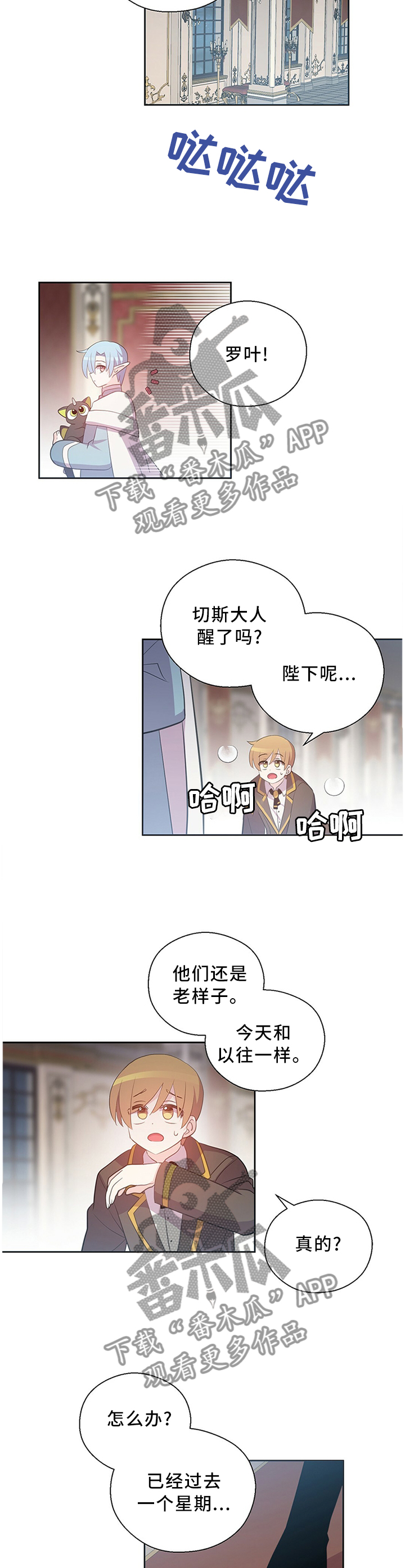 第131章：奇迹7