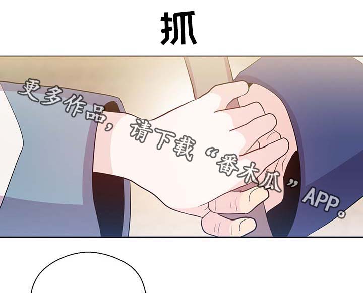 第106章：重设结界28