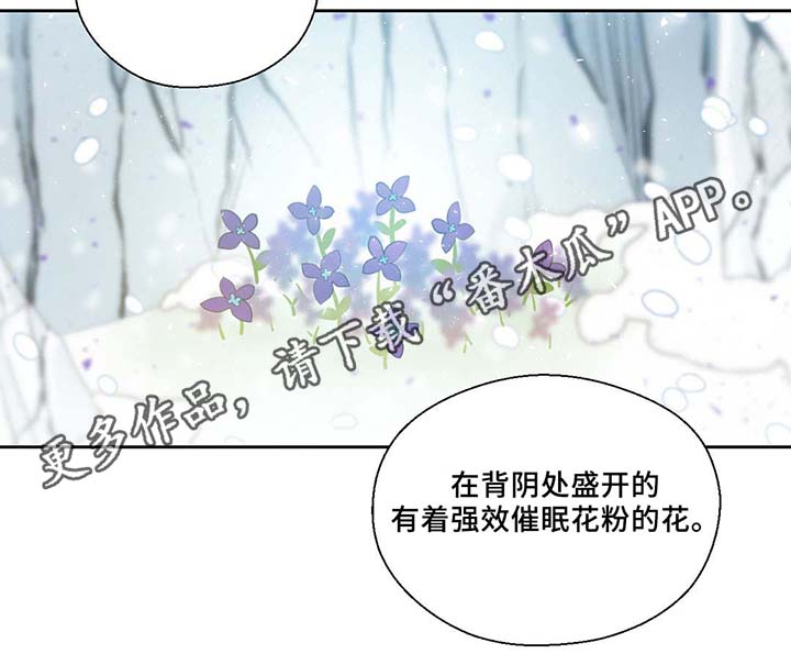 第80章：催眠花粉30