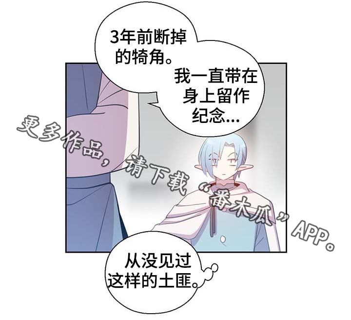 第97章：亲自去查看10