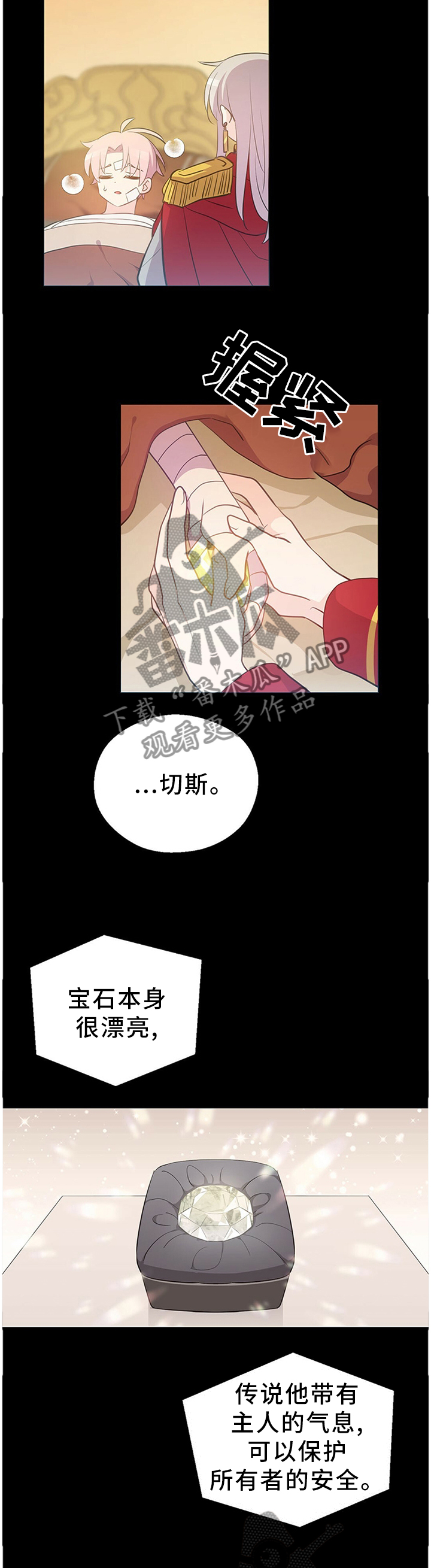 第135章：宝石7