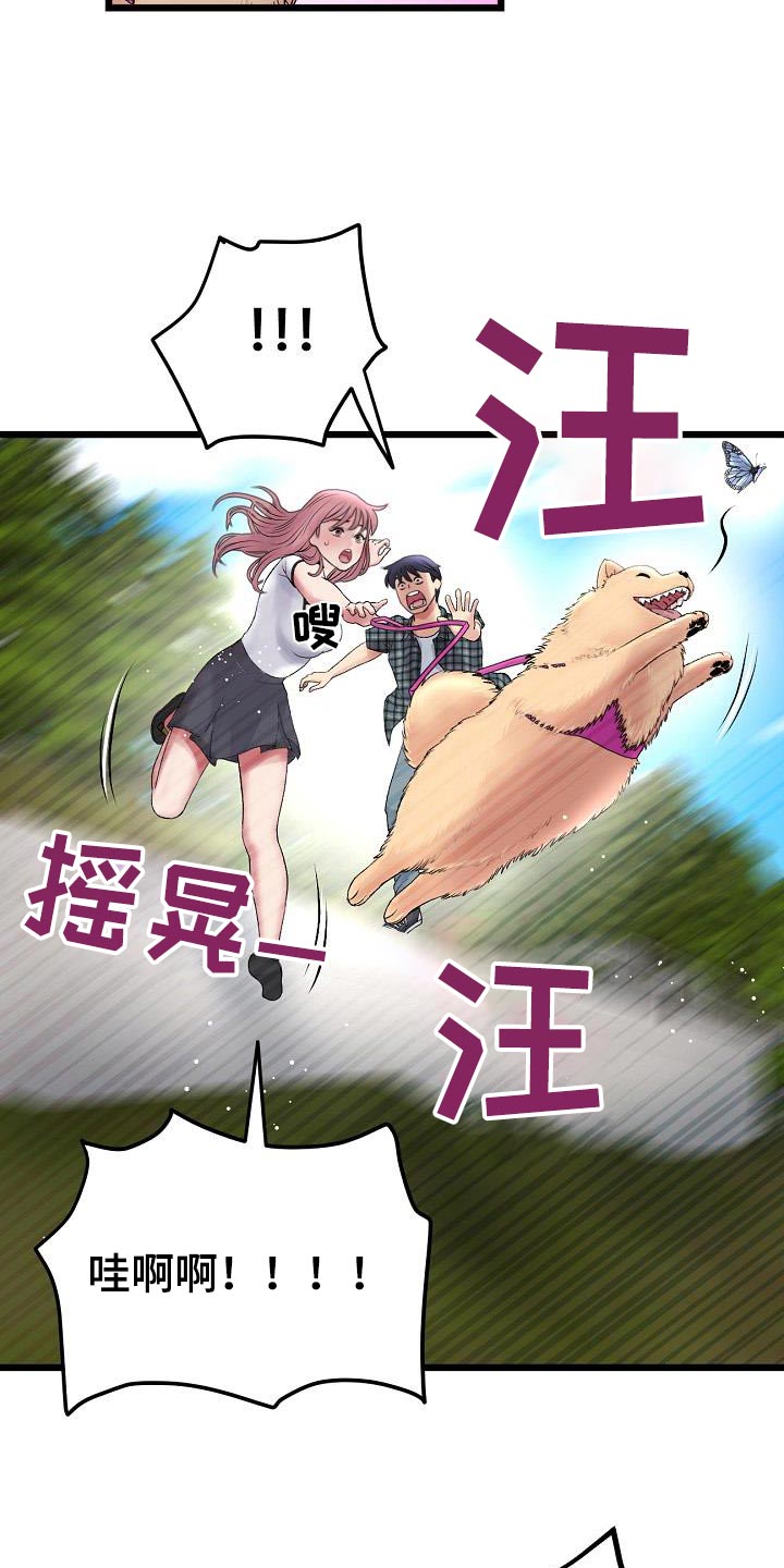 第33章：尝试20
