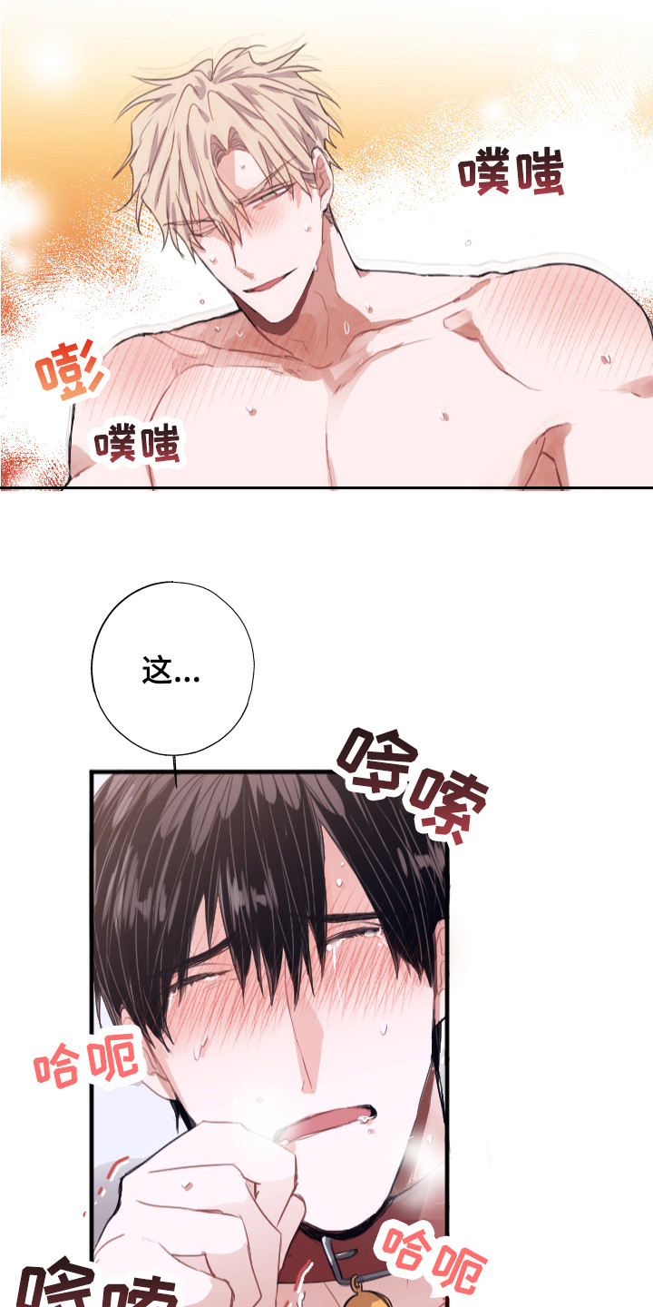 第9章：更好的19