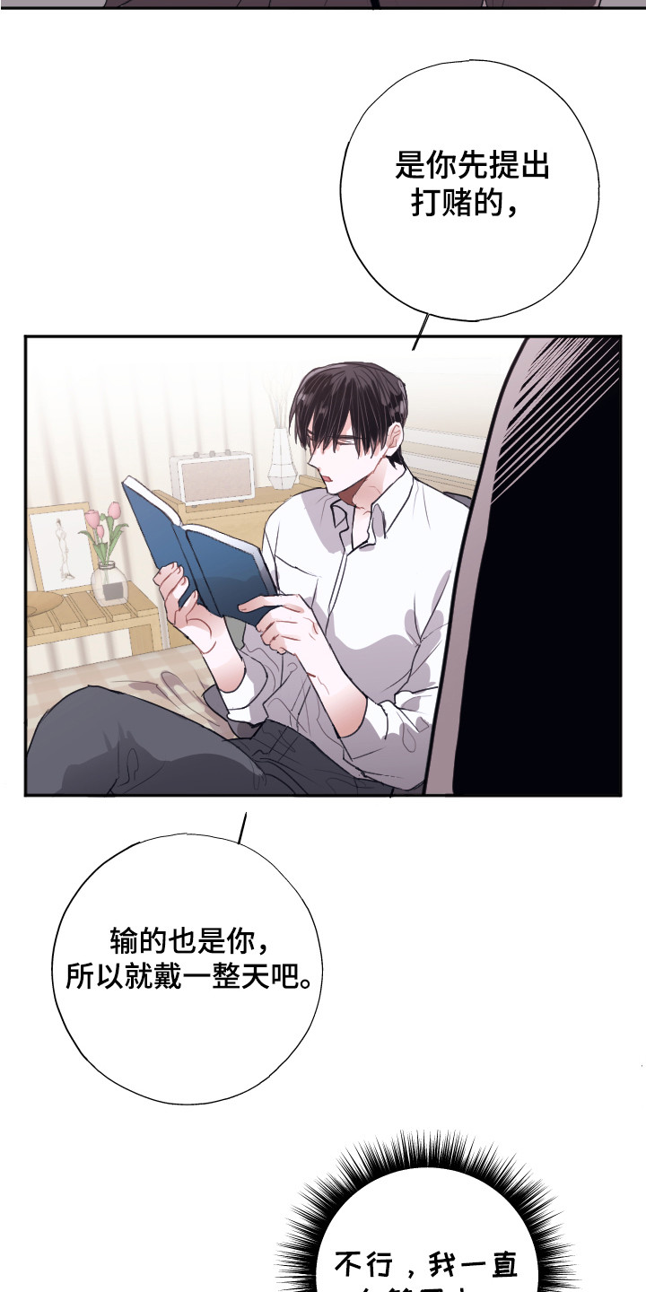 第14章：组成搭档（完结）15