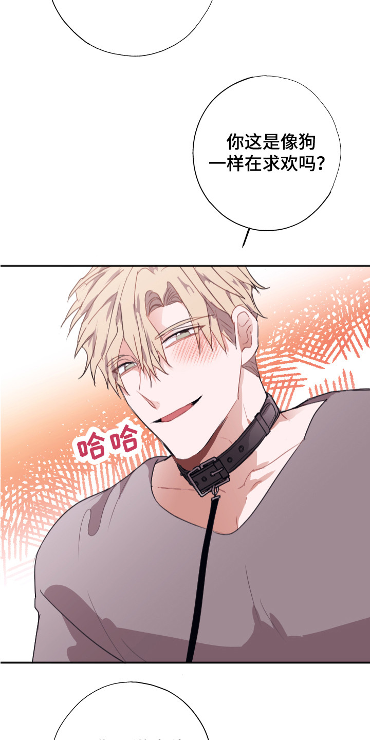 第14章：组成搭档（完结）21