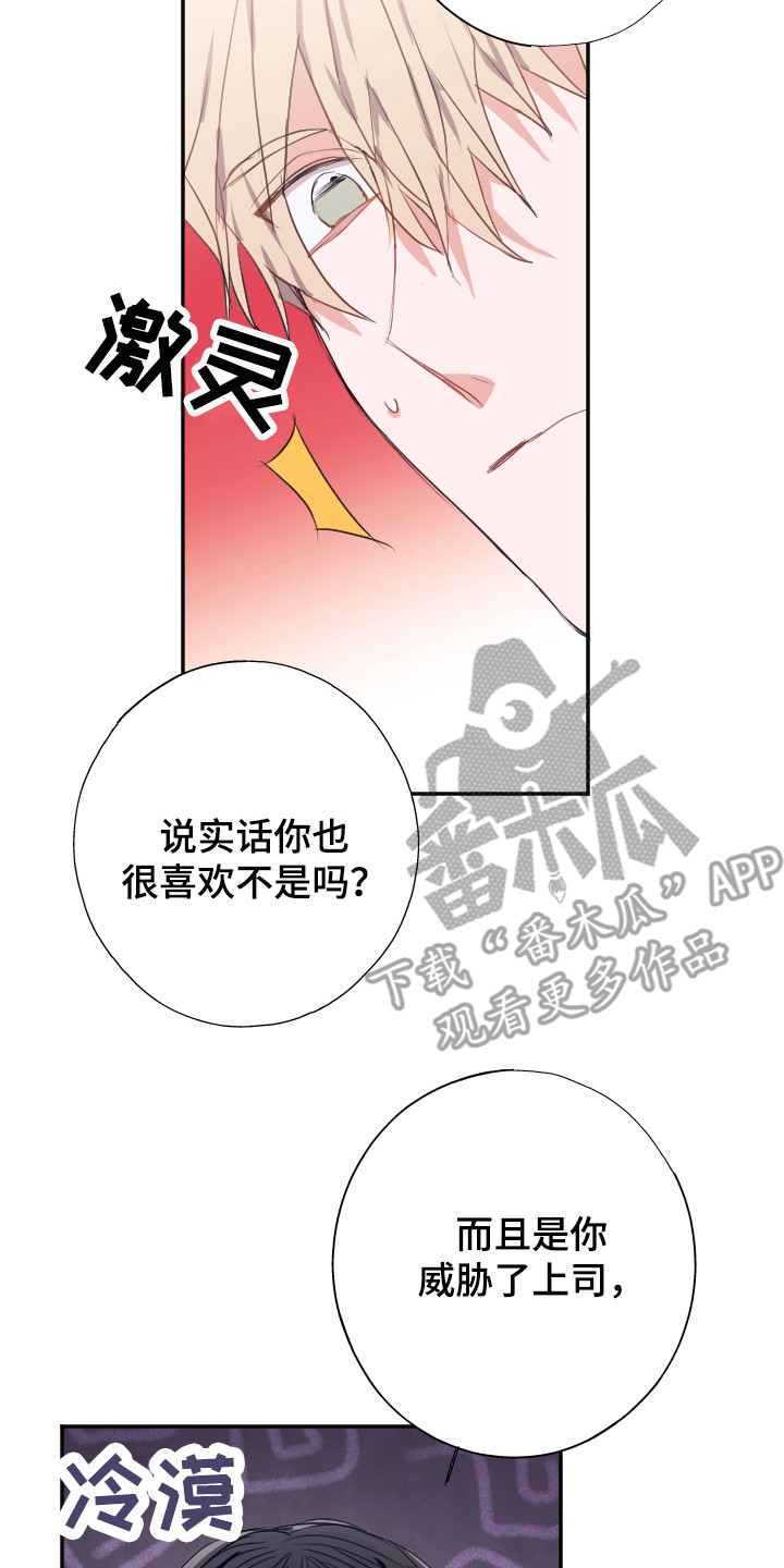第13章：解释13