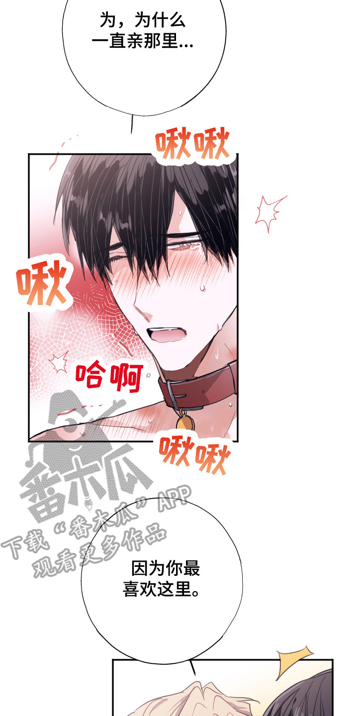 第8章：难以自控17