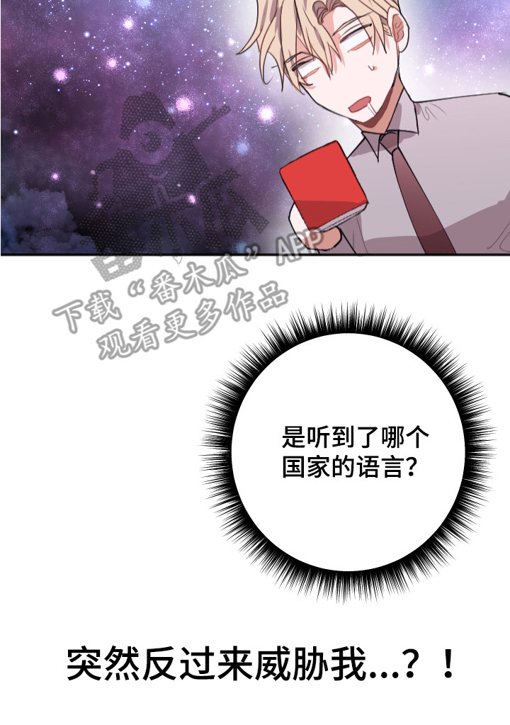 第13章：解释19