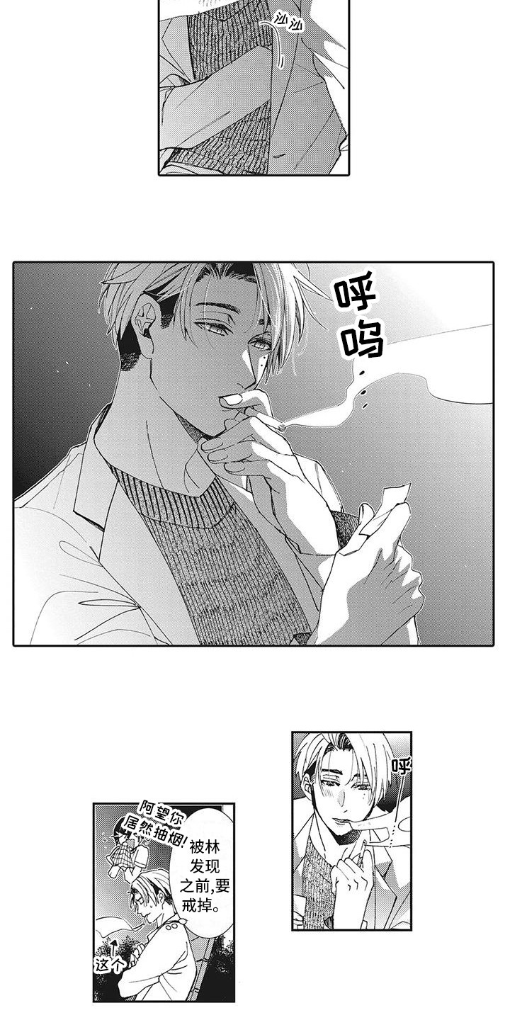第11章：机会3