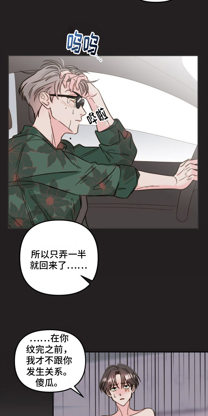 第13章：纹身  13